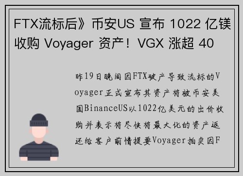 FTX流标后》币安US 宣布 1022 亿镁收购 Voyager 资产！VGX 涨超 40 