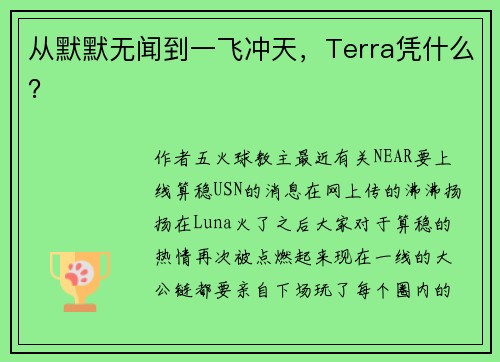 从默默无闻到一飞冲天，Terra凭什么？
